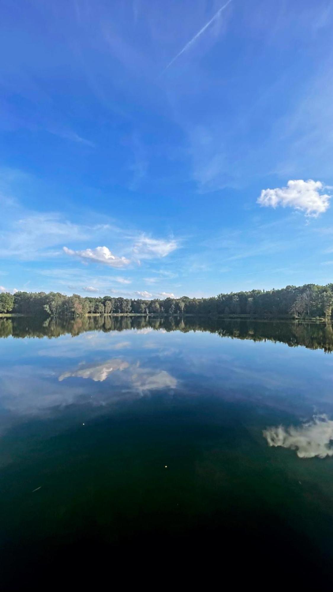 Boshuisje Pinus Sonnevijver Residences Lanaken Kültér fotó